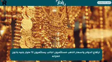 ارتفاع الدولار وأسعار الذهب مستثمرون أجانب يستثمرون 12 مليار جنيه بأذون الخزانة